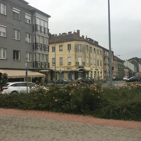 Szelestey Utcai *