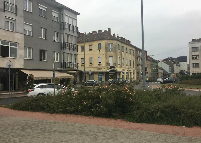 Szelestey Utcai *